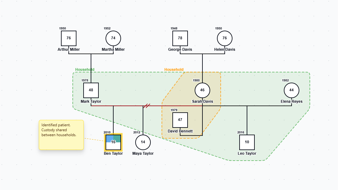 Divorce and Remarriage Genogram preview