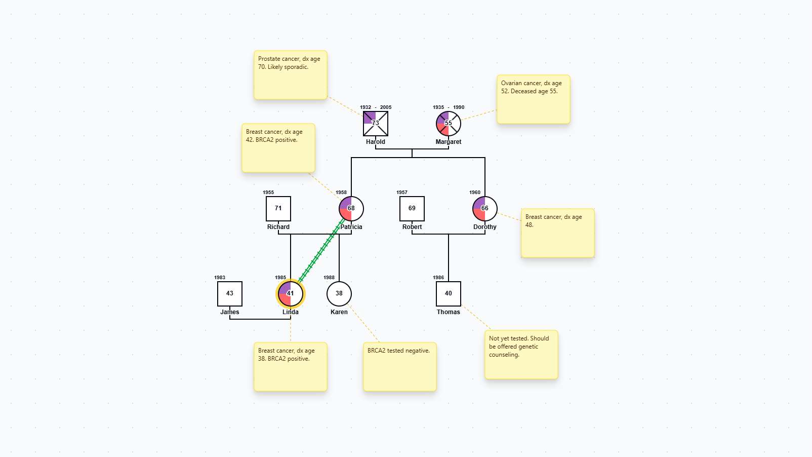 Medical Genogram: Hereditary Cancer Risk preview