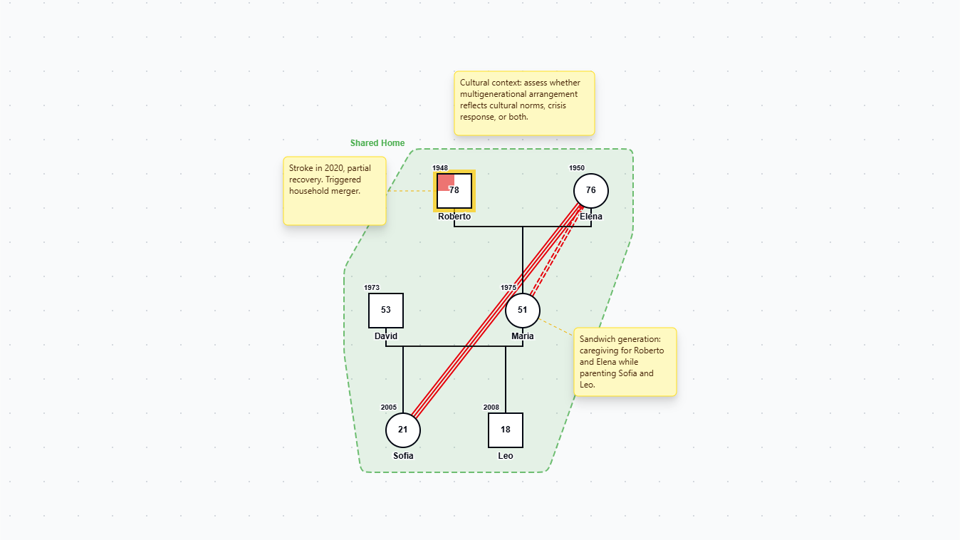 Multigenerational Household Genogram genogram example preview