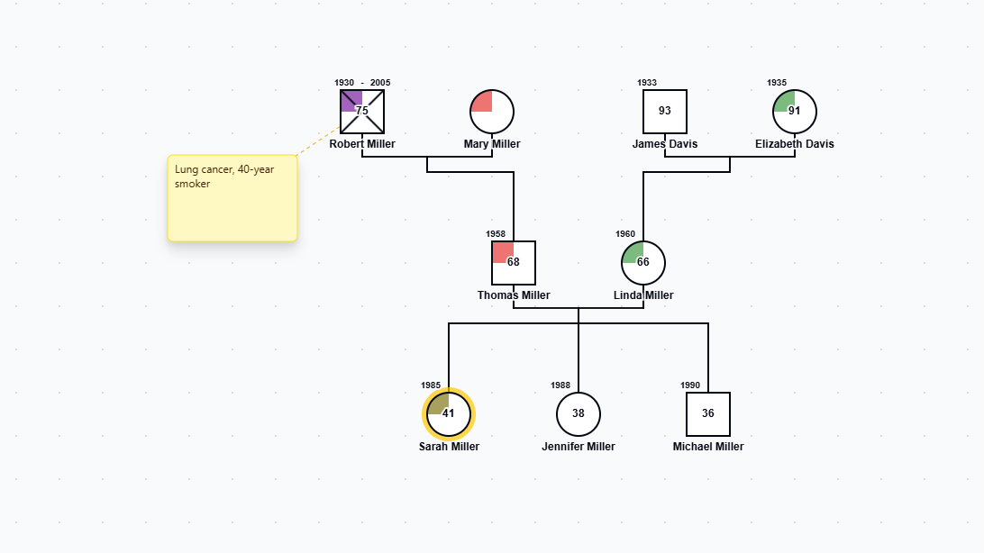 Nursing Health History Genogram preview